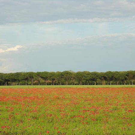 Appartamenti Mirella Bibione Eksteriør bilde